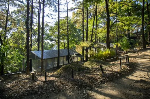 우암산순환도로 — 충북 청주 상당구 (수암골~명암동) 와인딩