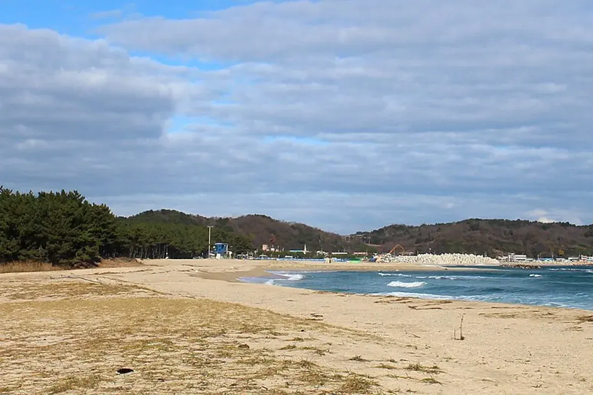울진 망양해안로(7번 옛길) 현장 사진 5 — 경북 울진 근남면