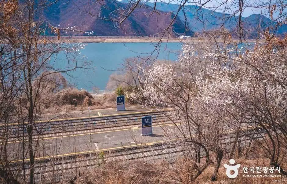 양산 원동로 현장 사진 2 — 경남 양산 원동면