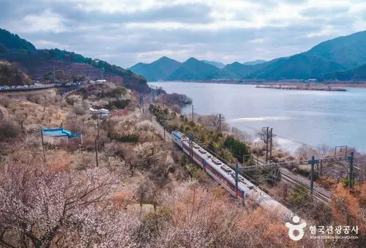 양산 원동로 — 경남 양산 원동면 와인딩
